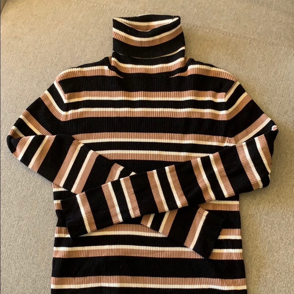 Zara Knit Turtleneck